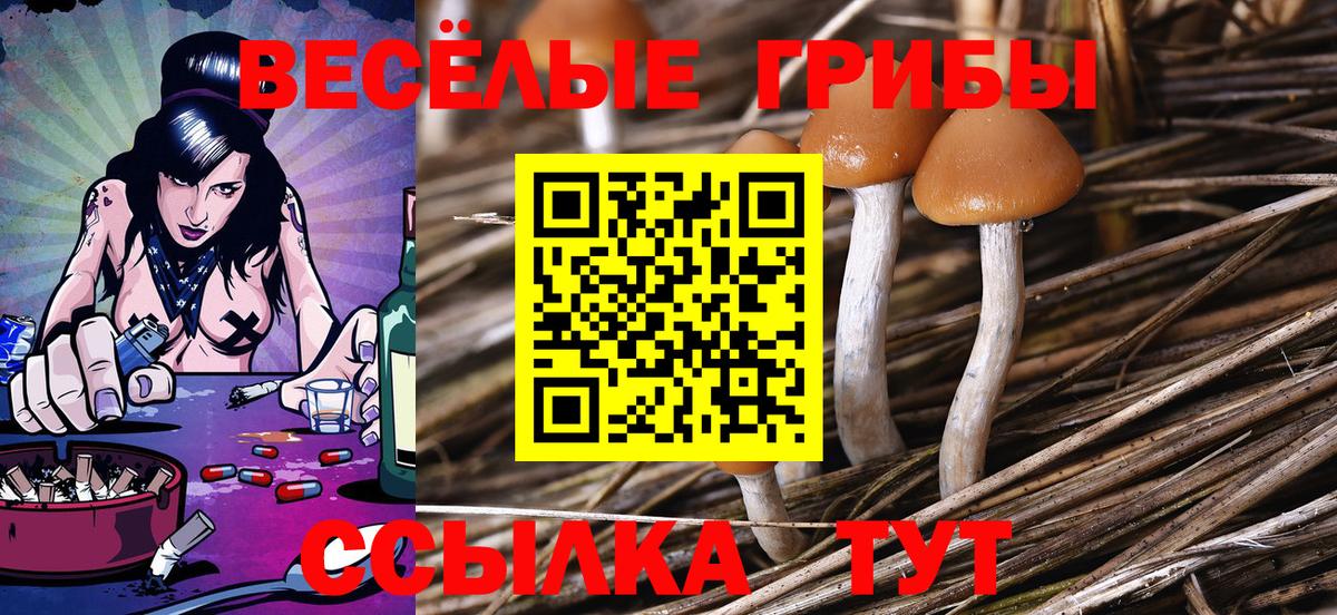 Галлюциногенные грибы мицелий Мурманск
