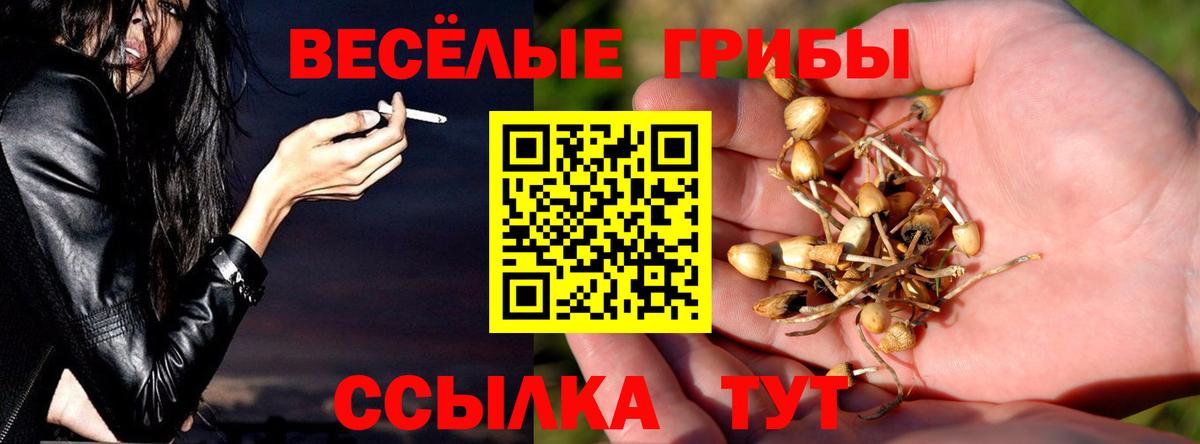 Псилоцибиновые грибы MAGIC MUSHROOMS  Вход с VPN  Мурманск 